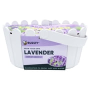 Buzzy Seeds Indoor Picket Fence Lavender Basket Seed Germination Kit