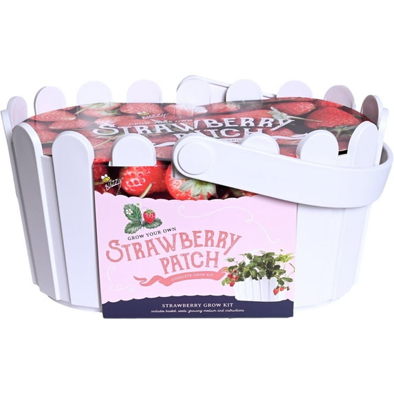 Buzzy Seeds Strawberry Indoor Gardening Seed Starter Kit White Basket