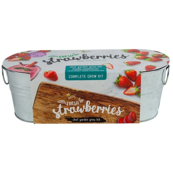 Buzzy Seeds Alpine Strawberry Grow Kit with Planter, Indoor DIY Gardening Gift