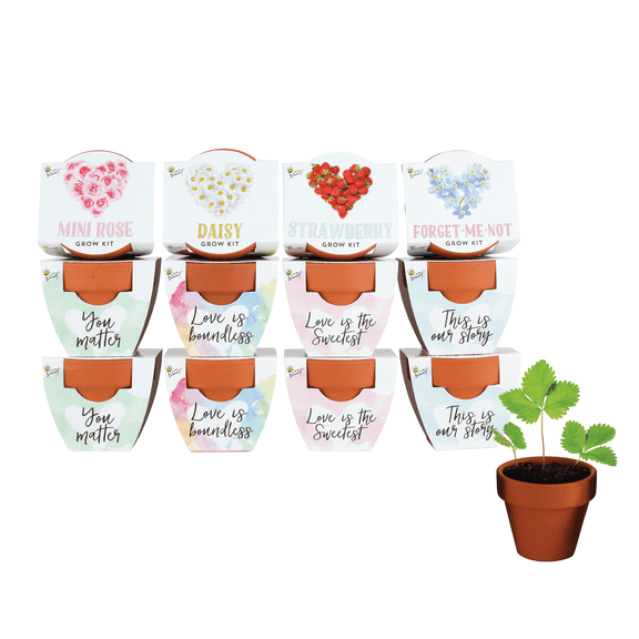 Buzzy Seeds Mini Terracotta 12pk Indoor Garden Kit with Flower and Strawberry Seeds