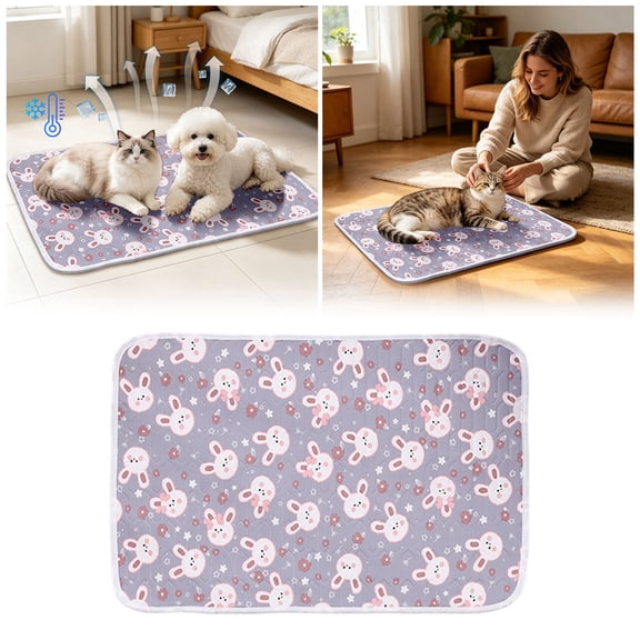 BVCL Mat Soft Comfortable Mat For Summer Cool Mat For Pads For Cat Puppy