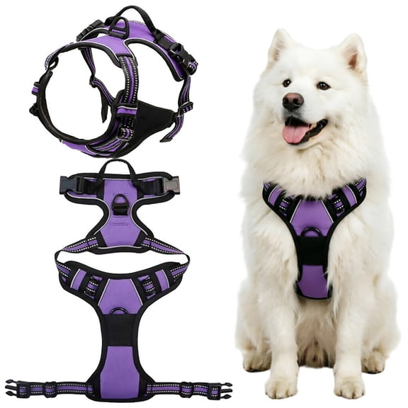 BVCL Style Pull Harness With Trachea Protective Buckle Vest & Leash Combo
