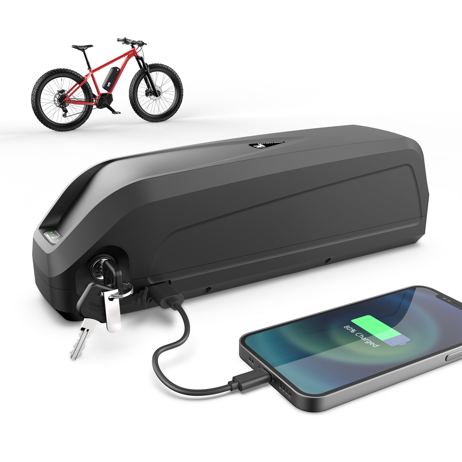 Electric bike battery 48v 1000w sale