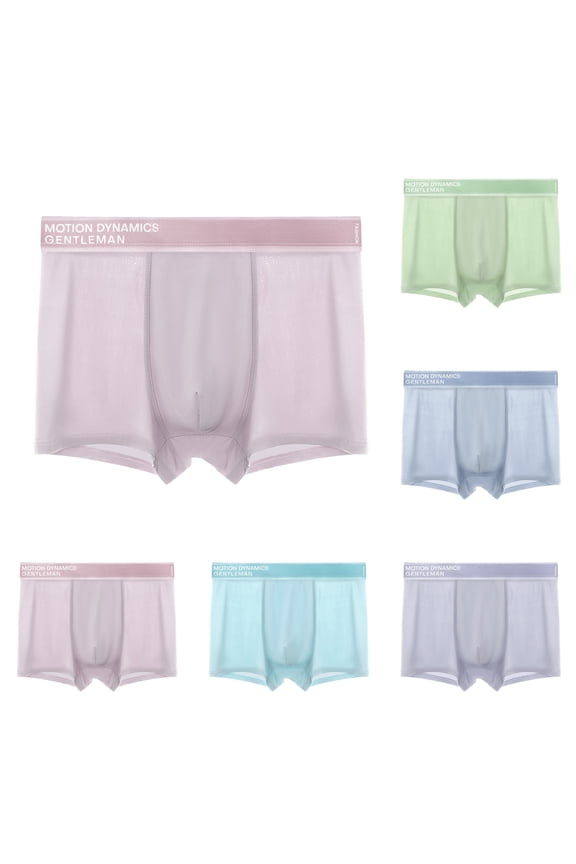Mens See Through Underwear Mesh Ice Silk Boxers Briefs Transparent Pouch Underpants Extended Anti Crotch Shorts 5 Pack