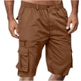 thumbnail image 1 of BVnarty Men's Summer Outdoor Cargo Shorts Zipper Button Functional Pockets Solid Elastic Waist Loose Fit Daily Casual Five Shorts Coffee XL, 1 of 5