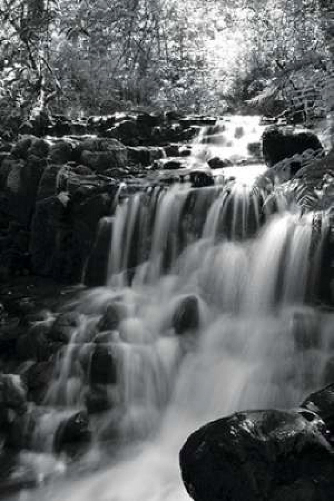 BW Falls in the Forest III Canvas Art - Brian Moore (12 x 18)