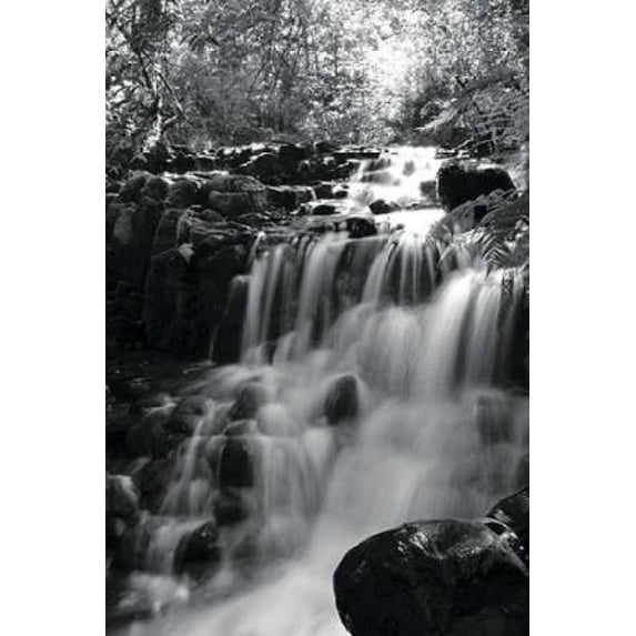 BW Falls in the Forest III Poster Print by Brian Moore (12 x 18)