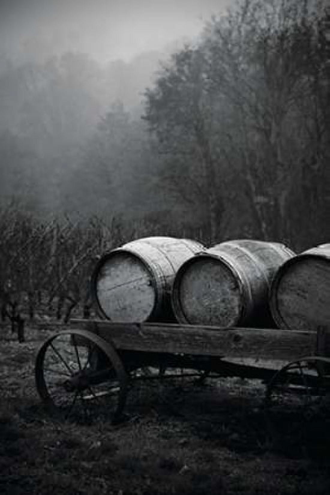 BW Oregon Wine Country II Canvas Art - Erin Berzel (12 x 18)