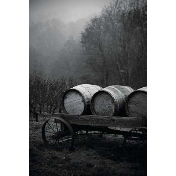BW Oregon Wine Country II Poster Print by Erin Berzel (12 x 18)