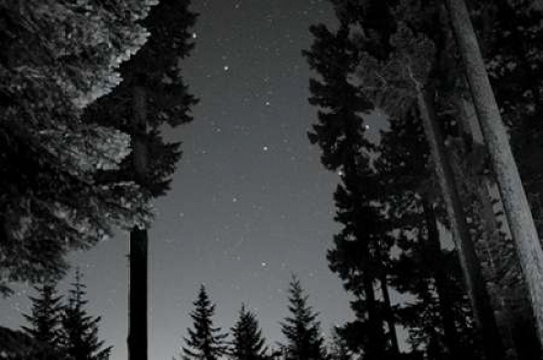 BW Starry Night I Canvas Art - Erin Berzel (20 x 28)