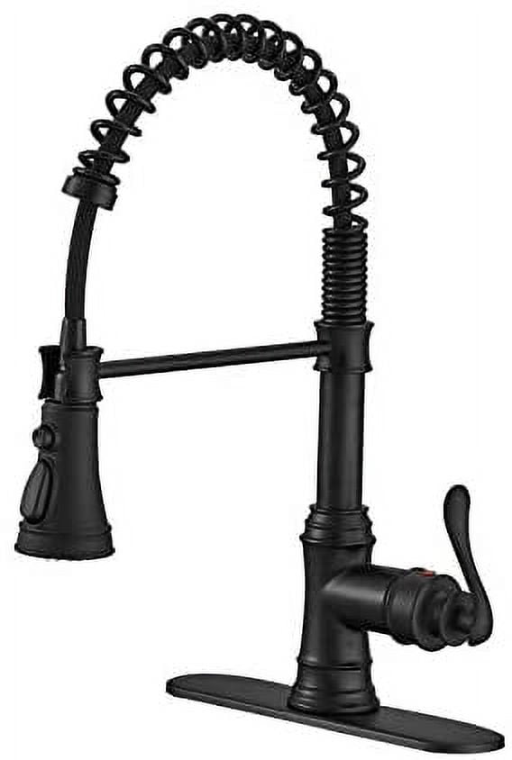 Matte Black Pull-Down Kitchen Faucet with Pull-out Spray