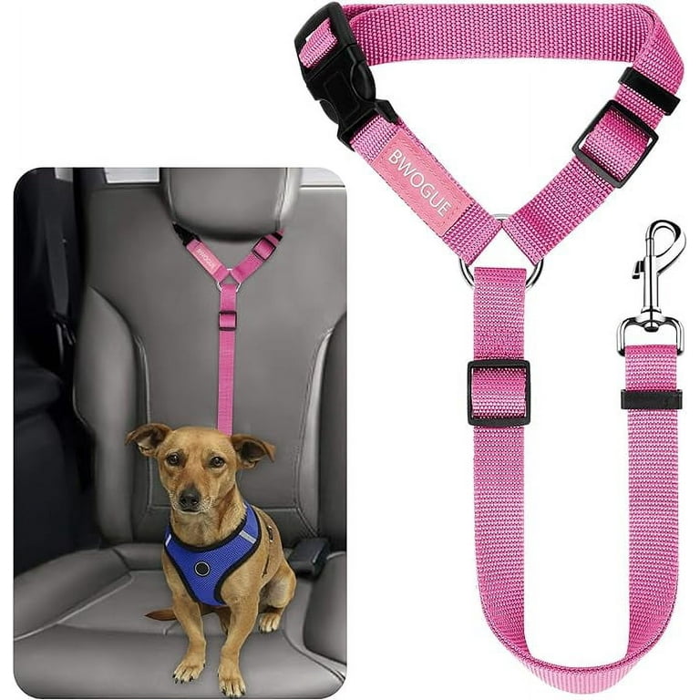 Dog vehicle restraint best sale