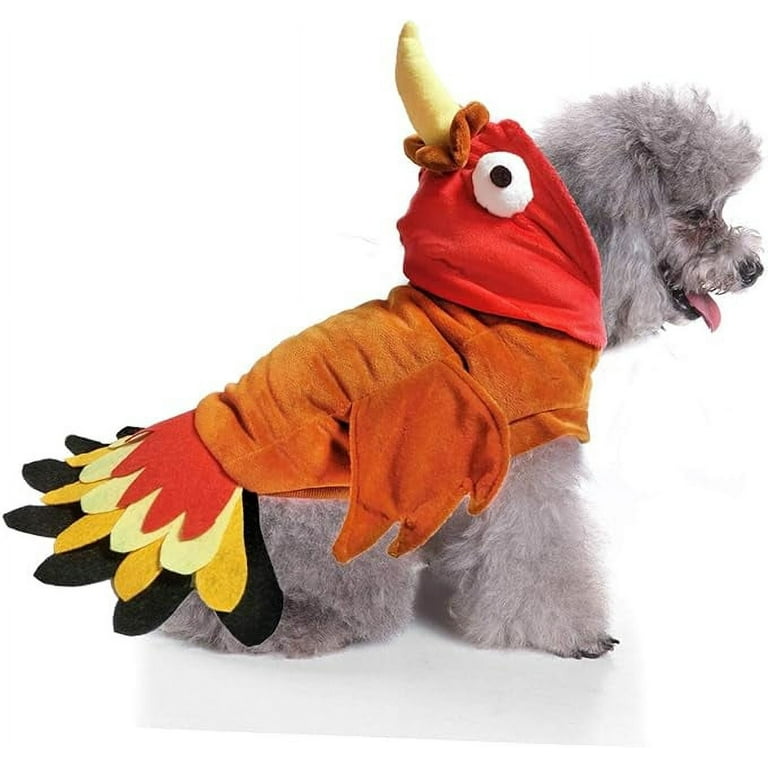 Thanksgiving costumes hotsell for dogs