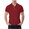 thumbnail image 1 of Fnooota Summer Polo Shirts for Men, Collared Casual Pullover Fashion Short Sleeve Shirts Wine Size XL, 1 of 5