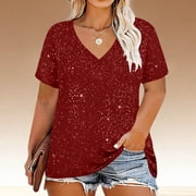 BXJX Womens Plus Size T-shirts, Short Sleeves Loose Fit Casual Fashion V Neck Summer Tops Red Size 2XL