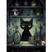 BYGFHLYW Diamond Painting Kits for Unisex Adults, Witchy Black Cat Magic Potion Bottle Art Craft Gem Painting, Home Decor & Relaxation Art, 16 12 Inch