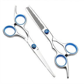 BYXAS 6 Inch Japanese Thinning Haircut Shears Set, Professional Barber Texturizing Scissors, Stainless Steel, Silver