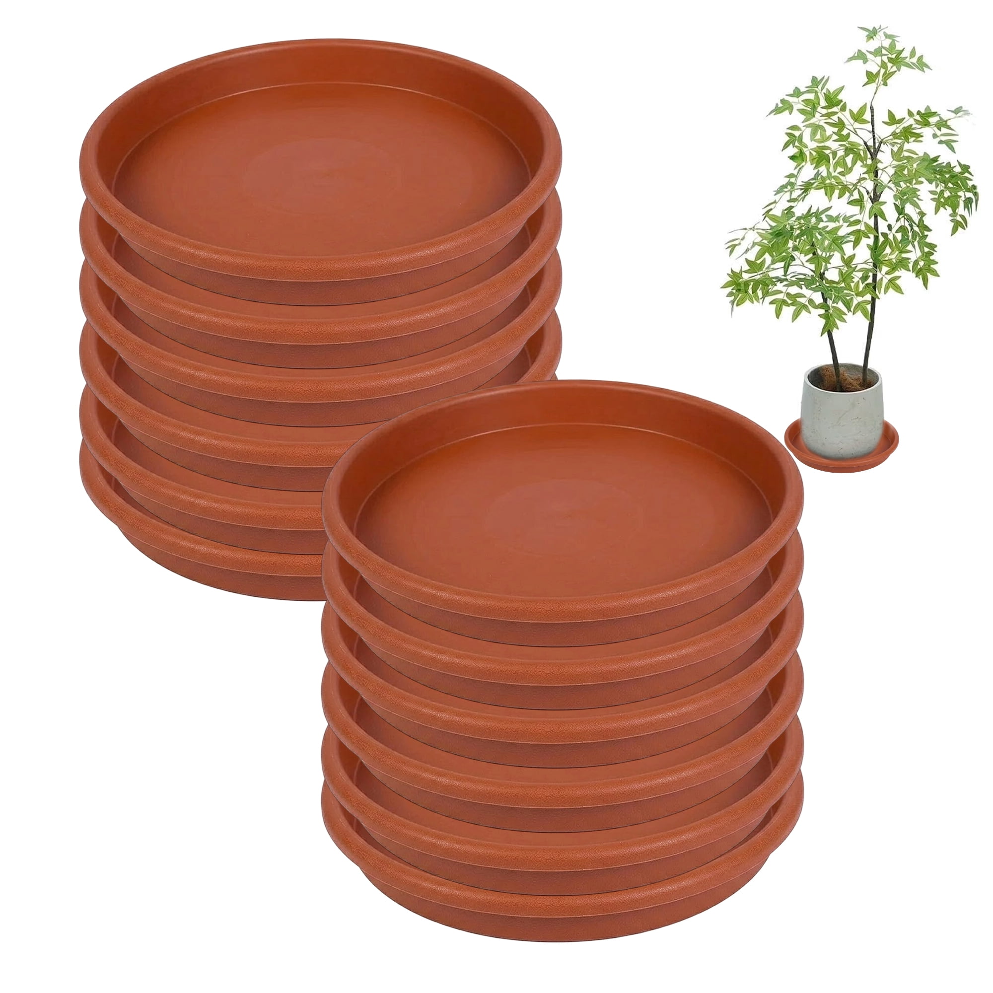 Shop Wide Selection of Plant Saucers for Indoor Outdoor Gardens