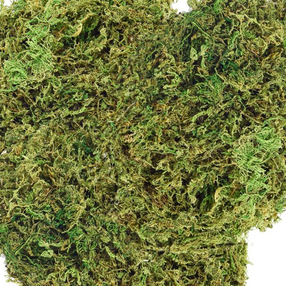 BZCOE 35 Oz Moss for Potted Plants Fake Moss for Fake Plants,Artificial Moss for Crafts,Faux Moss for Fake Plants Decroative Moss Artificial Green Moss, Realistic Fake Moss