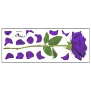 BZPIZ Stickers Under $5 Floral Wall Decal Sacinora Cosmetic Brush Organizer DIY Wall Decals Removable Vinyl Peel and Stick for Wood Furniture Scrapbooking Home Decorations