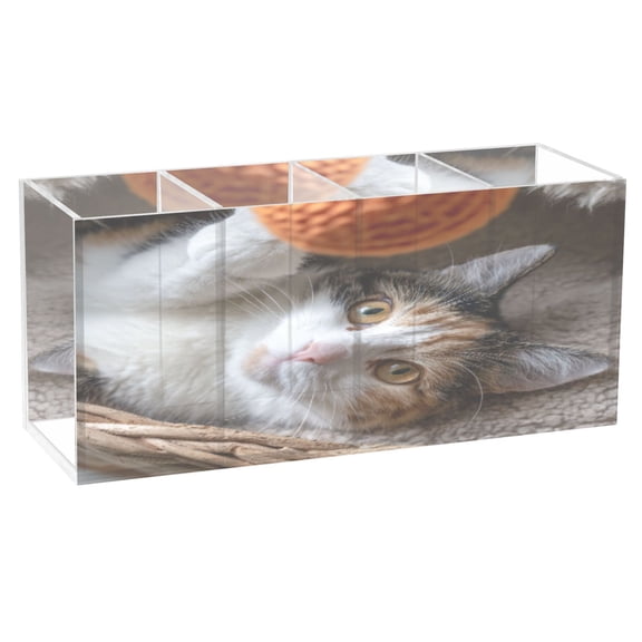 BZSMCE Acrylic 4 Compartments Pencil Holder Organizer Makeup Brush Holder In Ball Obsessed Pattern
