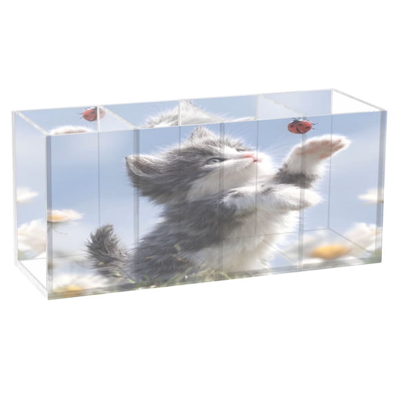 BZSMCE Acrylic 4 Compartments Pencil Holder Organizer Makeup Brush Holder In Kitten with Ladybug Pattern