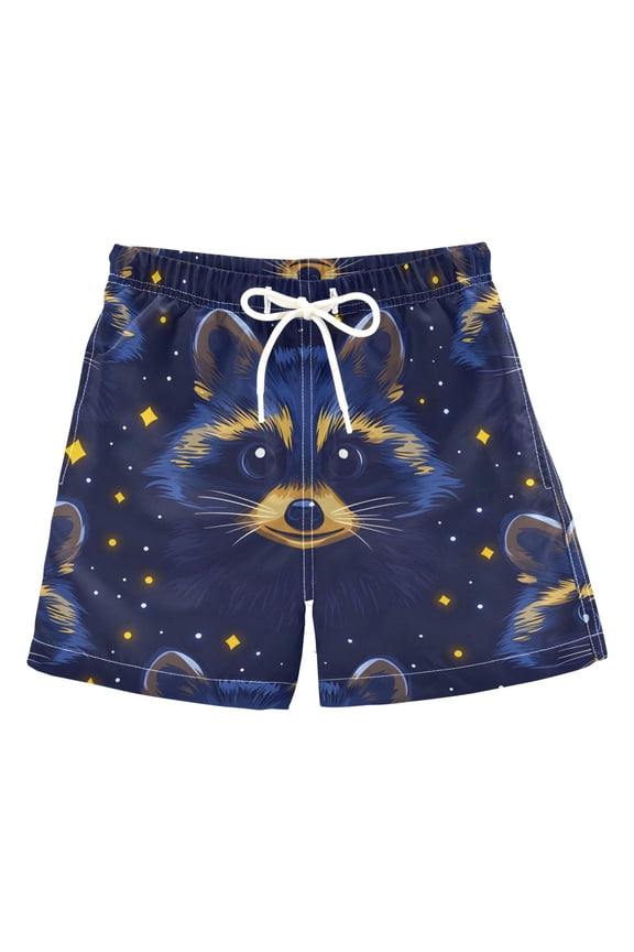 BZSMCE Beach Shorts Trunks Quick Dry Short Raccoon Starry Night Pattern Of Printed
