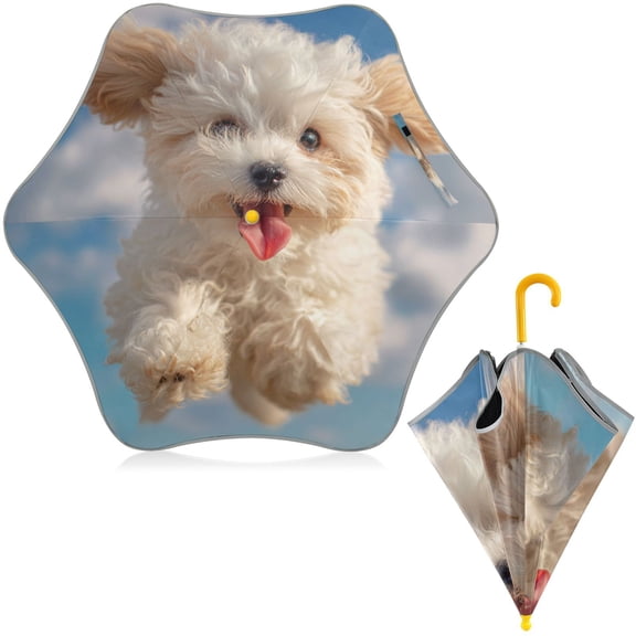 BZSMCE Folding Umbrellas Rain & UV Protection Windproof In Sky Cloud Curly Pup Pattern