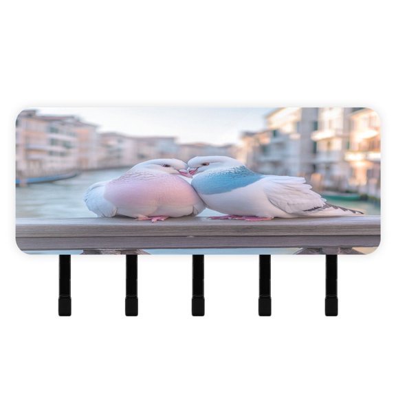 BZSMCE Lovebirds on The Canal Print Mount Hook Rack 5Hook Acrylic ReversePrint Wall Hanger With Hidden Storage Compartment