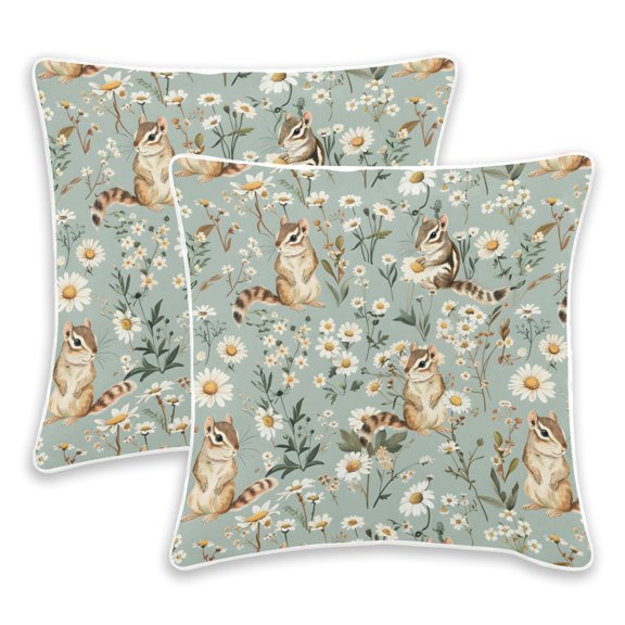 BZSMCE Squirrel Throw Pillow Covers Set of 2 Decorative Pillow Cases Covers for Sofa Bed Living Room