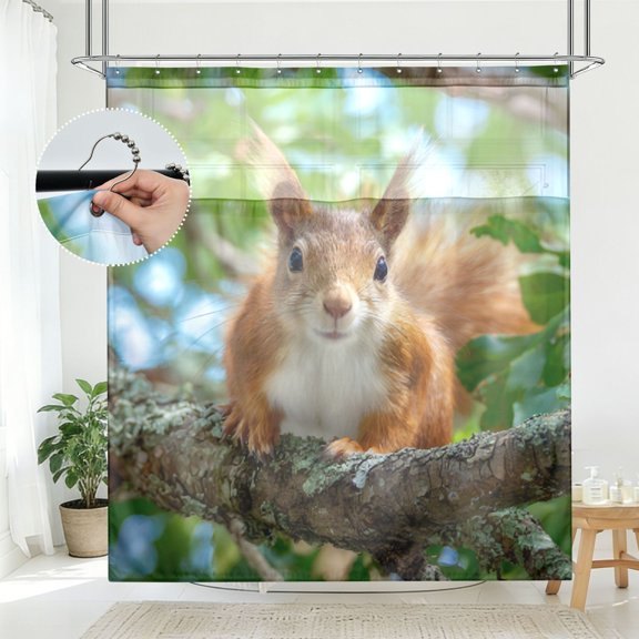 BZSMCE Sunny Branch Squirrel Pattern Bathroom Shower Curtain Set with Hooks Waterproof Double Layer Fabric 7278 Inch