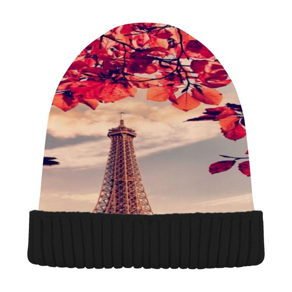 BZSMCE Winter Beanie Hats Warm Cozy Cap Autumn Arches Of Paris Pattern