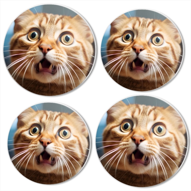 BaHomeck Electric Stove Burner Covers Set of 4,Round Metal Gas Stove Burner Covers 8 Inch and 10 Inch,Kitchen Decor,Ginger Cat Looking Shocked And Surprised