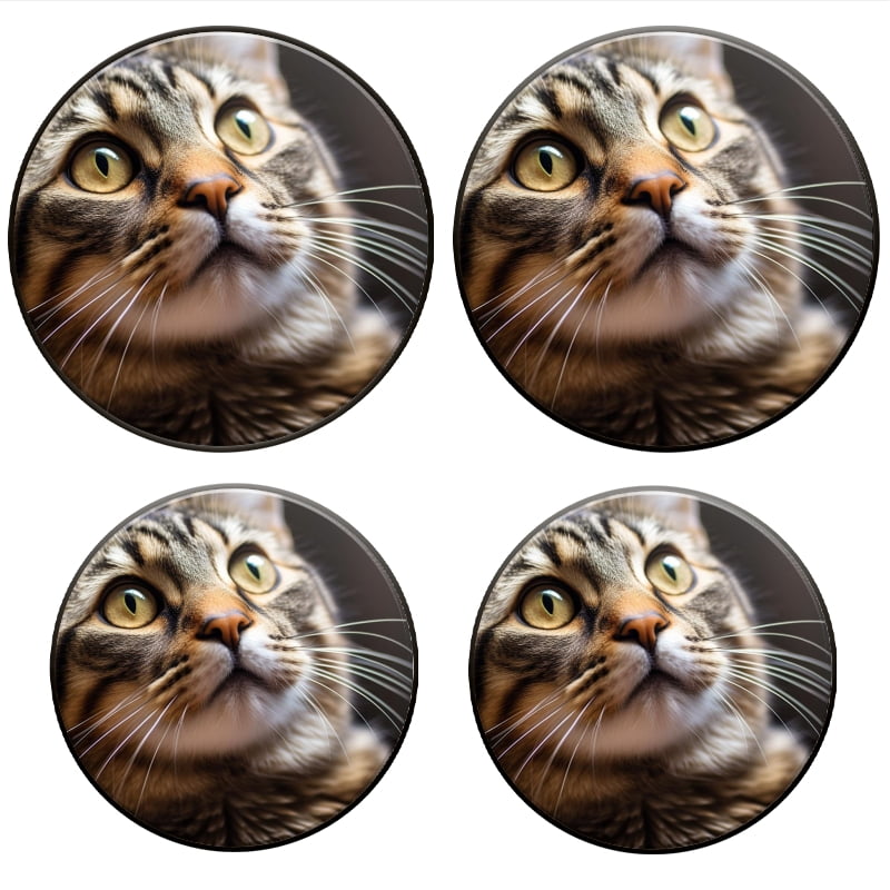 BaHomeck Electric Stove Burner Covers Set of 4,Round Metal Gas Stove Burner Covers 8 Inch and 10 Inch,Kitchen Decor,Shorthair Cat Gazes Upward Towards The Sky