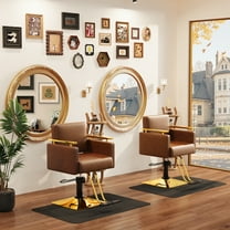 Baasha Brown and Gold Salon Chair, Comfortable Stylist Chair with Memory Cushion, Premium Black Salon Chairs for Hair Stylist, 360°Swivel Hydraulic Hair Chairs, Weight Capacity 330 lbs