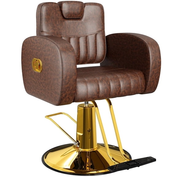 Baasha Heavy Duty Ergonomic Salon Styling Chair with Thick Cushion and Steel Frame, 440 lbs Weight Capacity for Hair Stylist, Brown Gold
