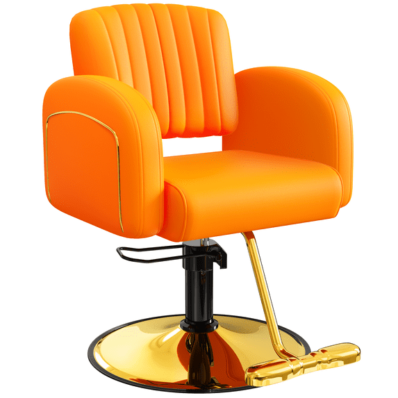 Baasha Luxurious Black and Gold Salon Chair, with Memory Sponge Cushions Hair Stylist Chair, 360° Swivel, Steel Frame, Weight Capacity up to 330 lbs