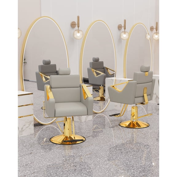Baasha Premium Reclining Salon Chair with Adjustable Backrest & Removable Headrest, Heavy Duty Styling Chair with Durable Steel Frame, Elegant Stylist Chair with Comfortable Seat Cushion - Gray Gold