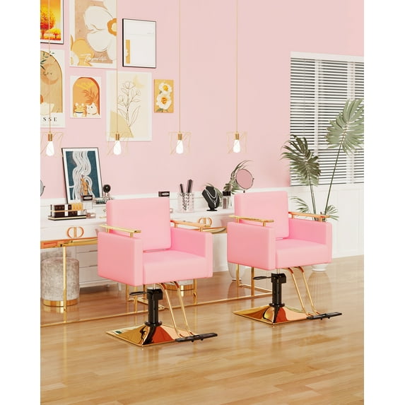 Baasha Salon Chair, Barber Chair with Stainless Steel Armrest, Salon Styling Chairs for Hair Stylist, Hydraulic Salon Chair, Beauty Spa Equipment (Gold & Pink)