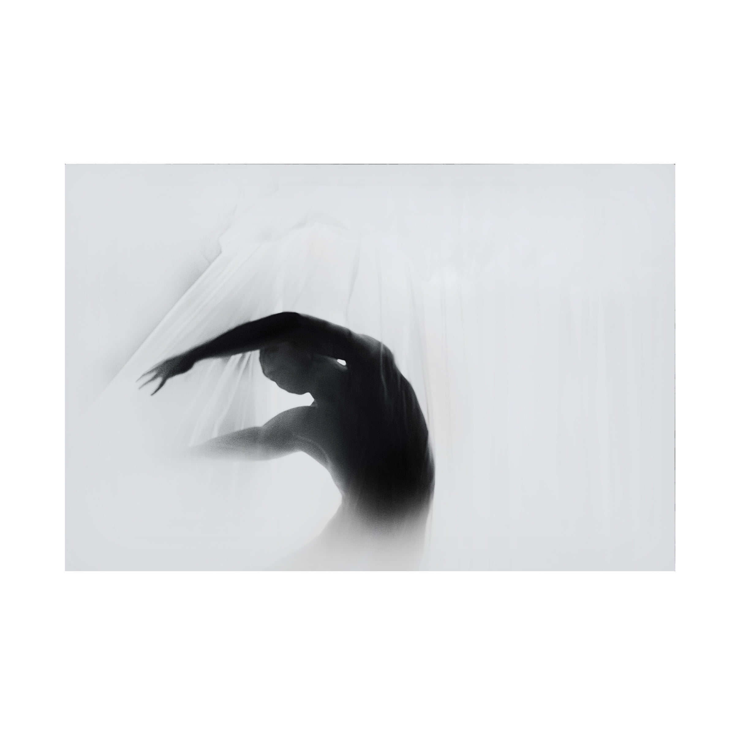Babak Haghi 'The Dance Of Silence' Canvas Art