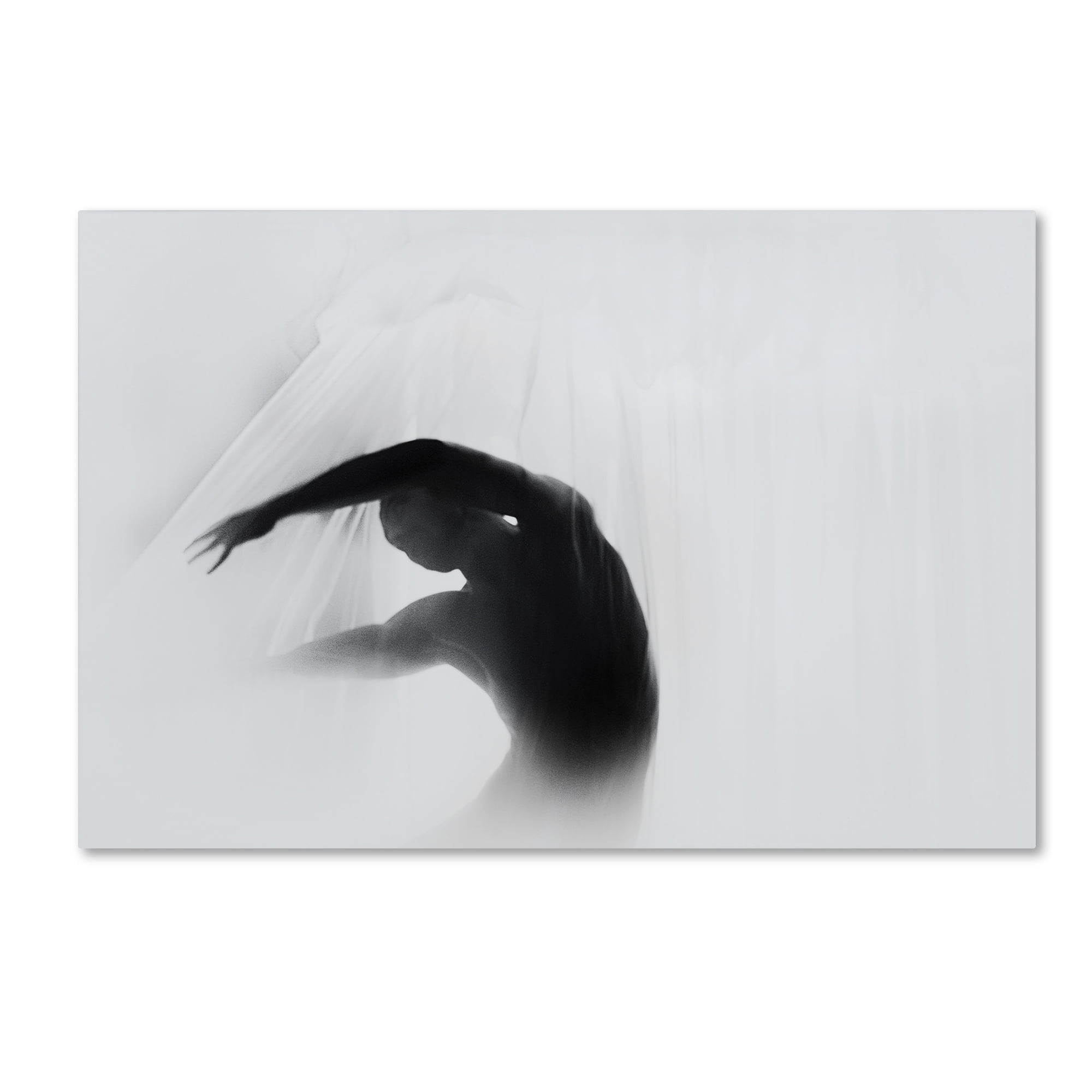 Babak Haghi 'The Dance Of Silence' Canvas Art