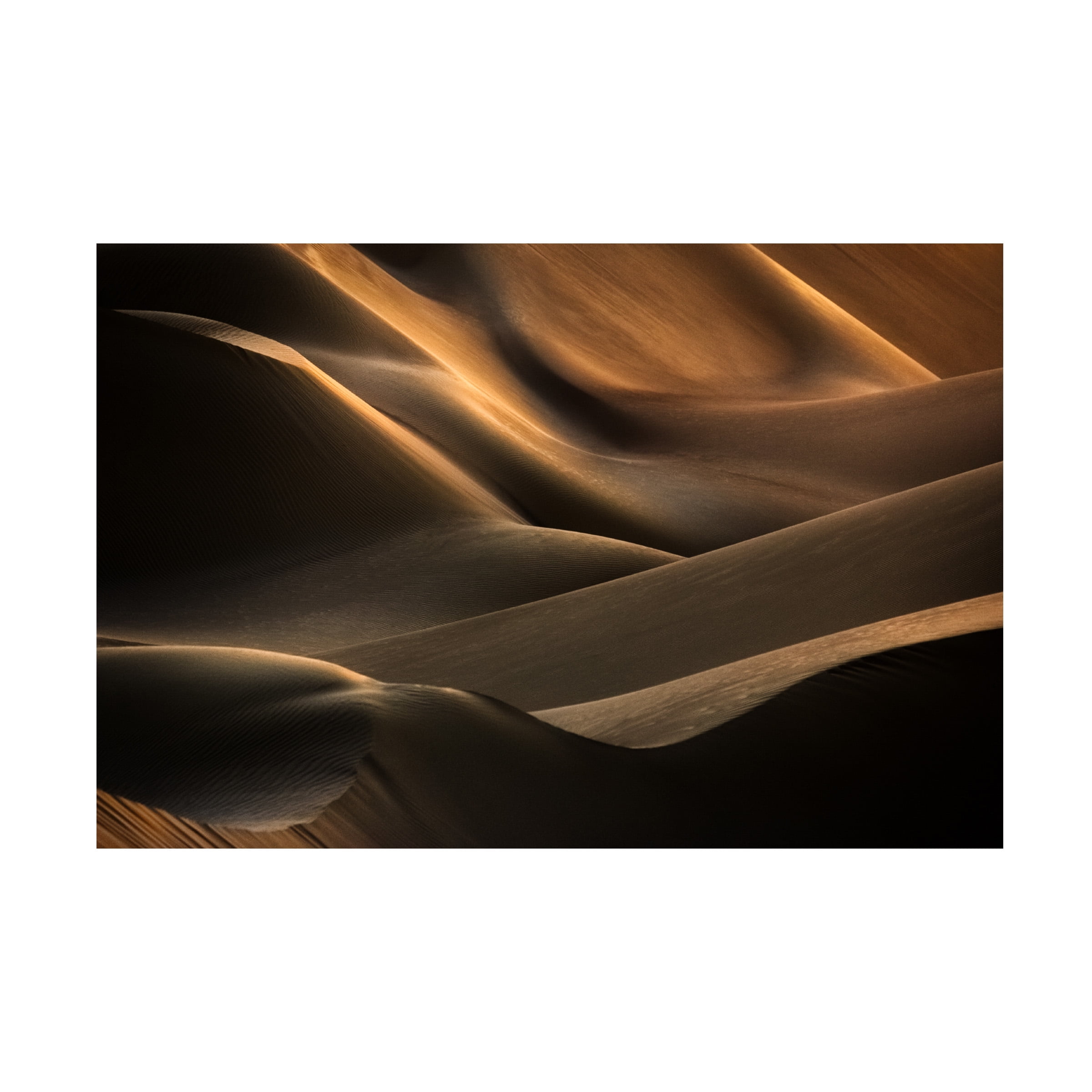 Babak Mehrafshar 'Clamorous Desert' Canvas Art