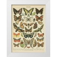 thumbnail image 1 of Babbitt, Gwendolyn 11x14 White Modern Wood Framed Museum Art Print Titled - Papillons I, 1 of 4