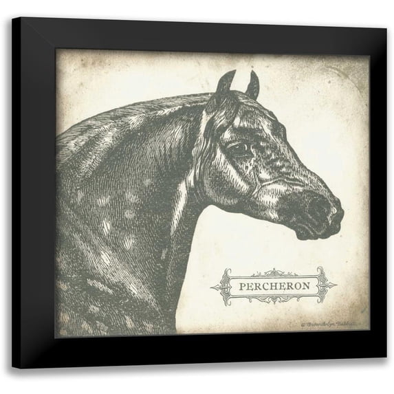 Babbitt, Gwendolyn 12x12 Black Modern Framed Museum Art Print Titled - Percheron