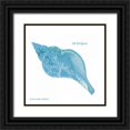 thumbnail image 1 of Babbitt, Gwendolyn 12x12 Black Ornate Wood Framed with Double Matting Museum Art Print Titled - Shell on White II, 1 of 4