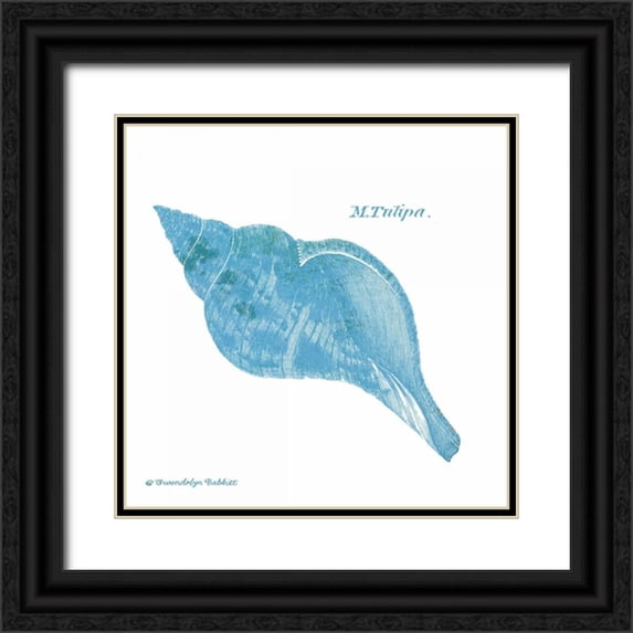 Babbitt, Gwendolyn 12x12 Black Ornate Wood Framed with Double Matting Museum Art Print Titled - Shell on White II