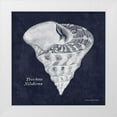 thumbnail image 1 of Babbitt, Gwendolyn 12x12 White Modern Wood Framed Museum Art Print Titled - Indigo Shell IV, 1 of 4