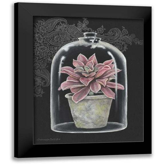 Babbitt, Gwendolyn 12x14 Black Modern Framed Museum Art Print Titled - Succulent in Cloche III