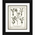 thumbnail image 1 of Babbitt, Gwendolyn 12x14 Black Ornate Wood Framed with Double Matting Museum Art Print Titled - French Radishes, 1 of 4