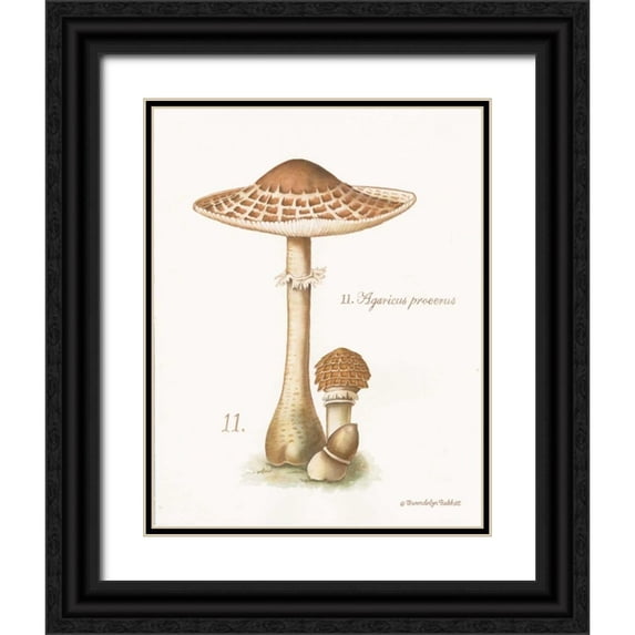 Babbitt, Gwendolyn 12x14 Black Ornate Wood Framed with Double Matting Museum Art Print Titled - Mushroom I